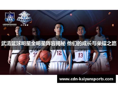 武清篮球明星全明星阵容揭秘 他们的成长与荣耀之路